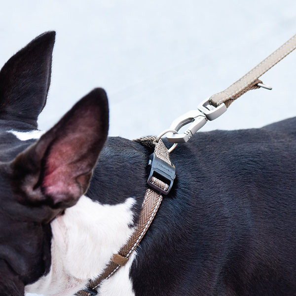 Текстилен нашийник с пластмасово закопчаване или повод за кучета