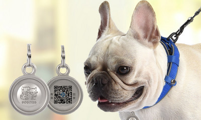 Кучешки нашийник с различни висулки 