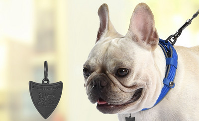 Кучешки нашийник с различни висулки 