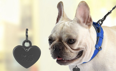 Кучешки нашийник с различни висулки 