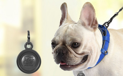 Кучешки нашийник с различни висулки 