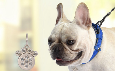 Кучешки нашийник с различни висулки 