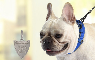 Кучешки нашийник с различни висулки 