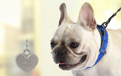 Кучешки нашийник с различни висулки 