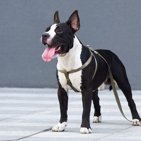 Текстилен нагръдник за кучета с повод