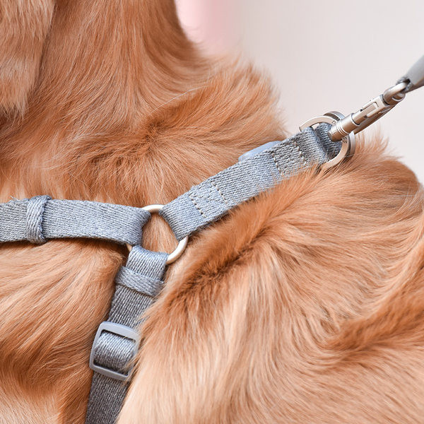 Set bavete cu lesa sau zgarda cu lesa pentru caini