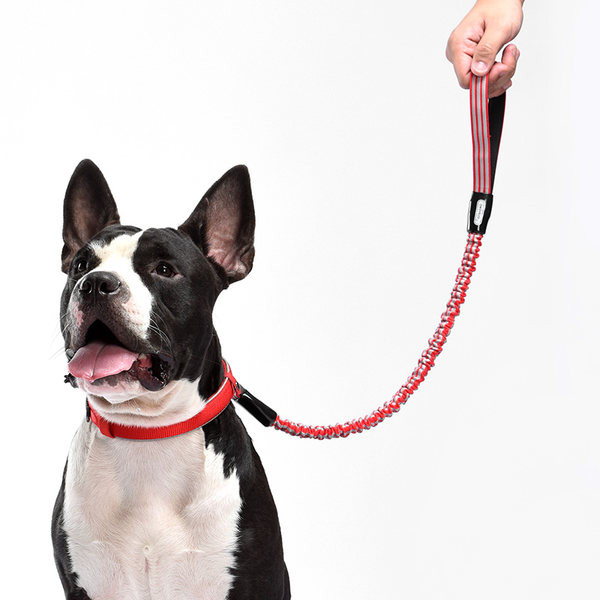 Lesa pentru caini din material textil - doua culori