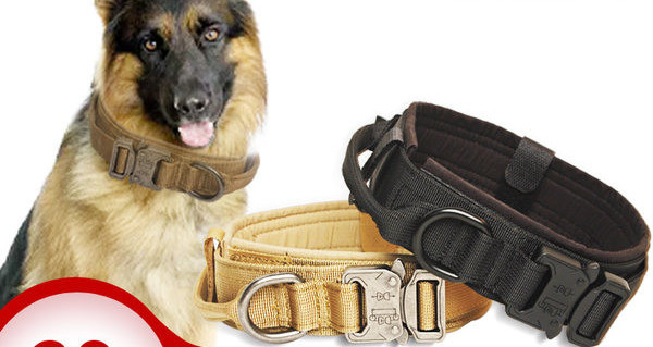 Guler textil sau lesă cu parte elastică pentru câini