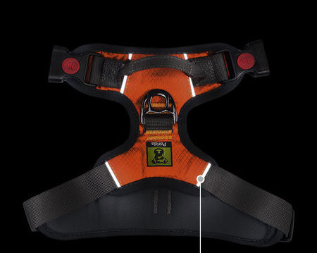 Ham pentru câini cu inscripție și clemă de plastic