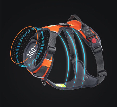 Ham pentru câini cu inscripție și clemă de plastic