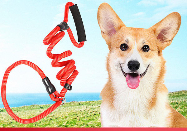 Кучешка каишка с нашийник 