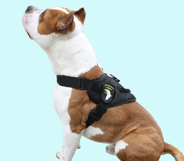 Bavete din material textil cu lesă de câine și închizătoare de plastic