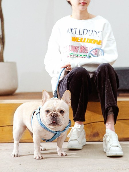 Каишка за кучета  в четири цвята 