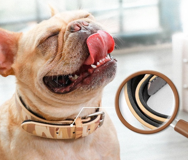 Guler ajustabil pentru câini - două culori