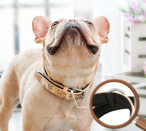 Guler ajustabil pentru câini - două culori