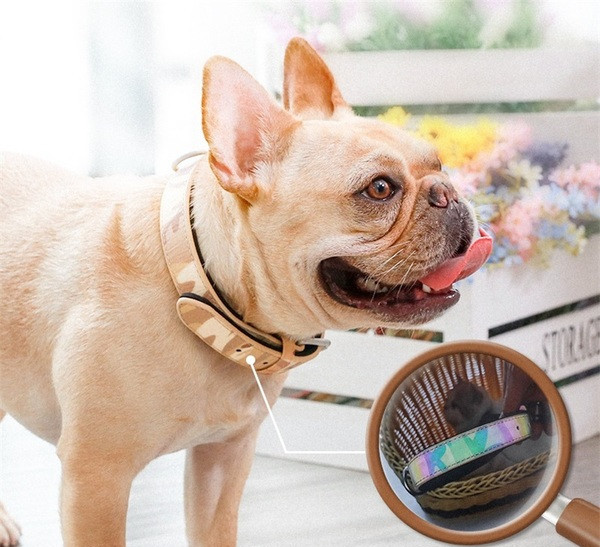 Guler ajustabil pentru câini - două culori