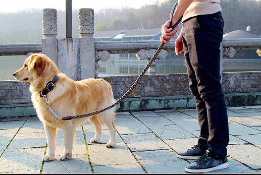 Кучешка кожена каишка в два цвята