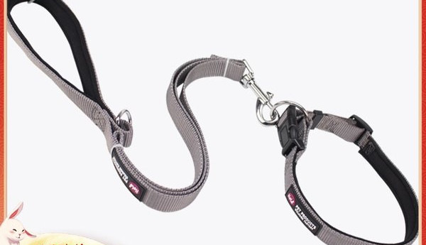 Lesa pentru caini cu zgarda - mai multe modele