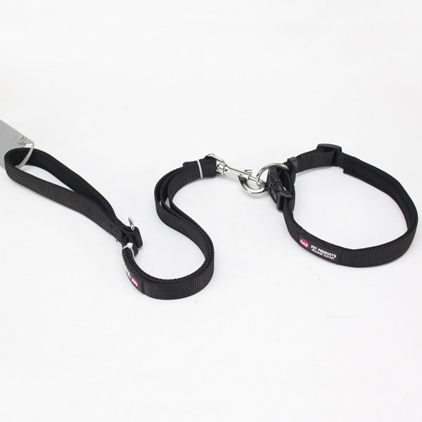 Lesa pentru caini cu zgarda - mai multe modele