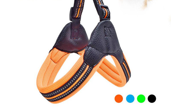 Bavetă și lesă pentru câini cu închizătoare metalică