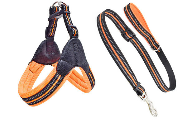 Bavetă și lesă pentru câini cu închizătoare metalică