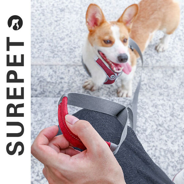 Нагръдник за кучета със или без повод