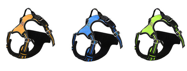 Bavete cu sau fara lesa pentru caini