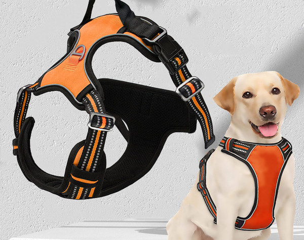 Bavete cu sau fara lesa pentru caini