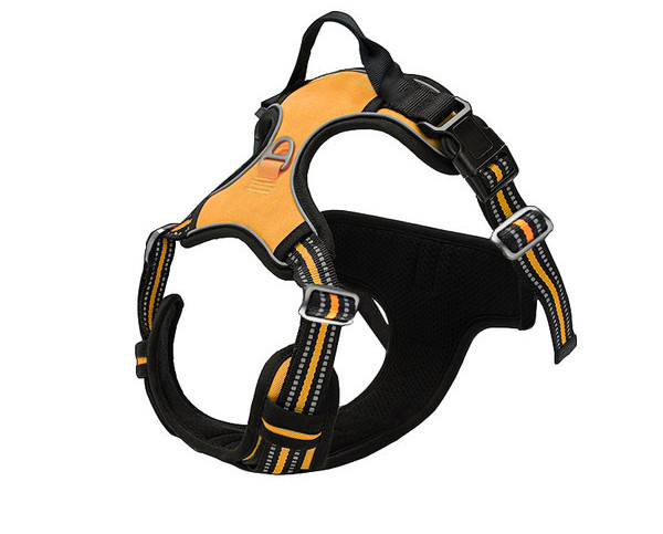 Bavete cu sau fara lesa pentru caini