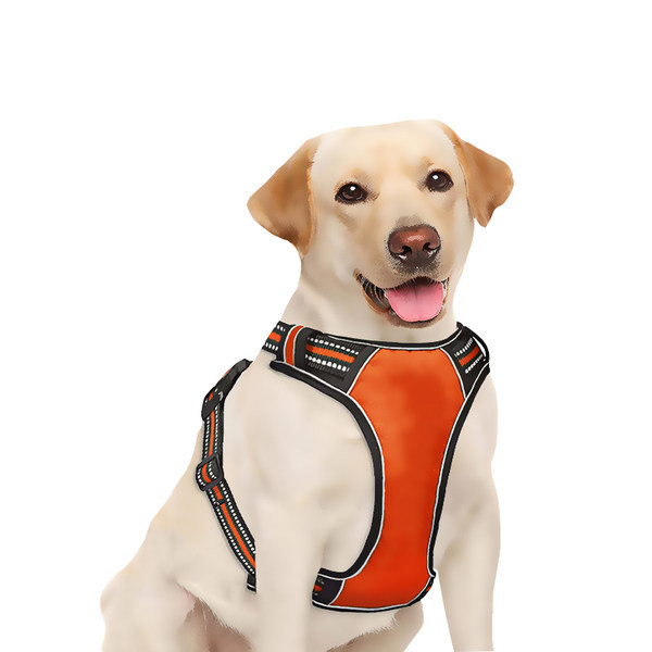 Bavete cu sau fara lesa pentru caini