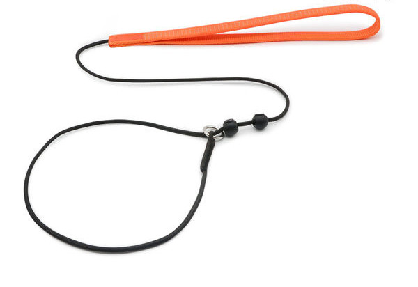 O lesă pentru câini cu guler textil reglabil