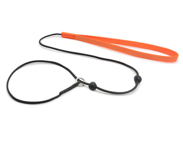 O lesă pentru câini cu guler textil reglabil