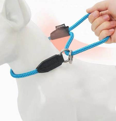 Каишка за кучета в син и оранжев цвят 