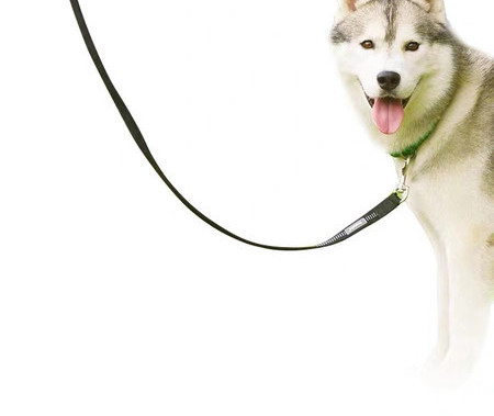 Каишка за кучета от текстил с надпис 