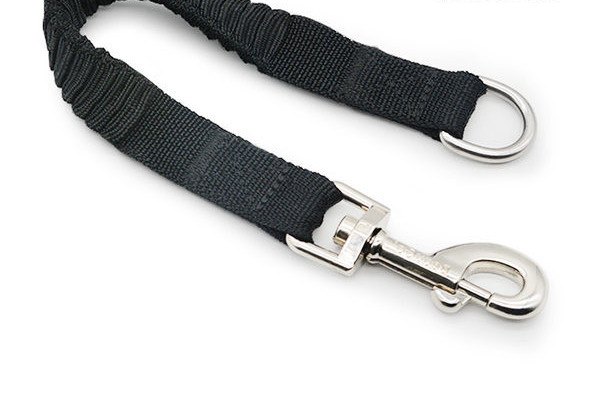 Lesa elastica pentru caine de culoare neagra