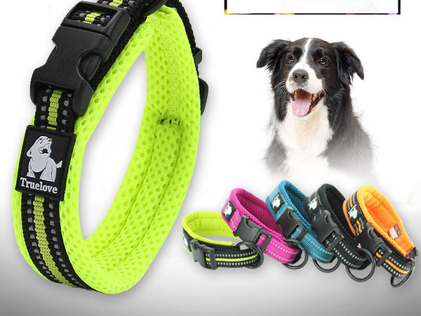 Guler pentru câini cu prindere din plastic - mai multe culori