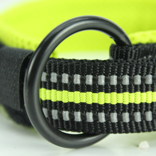 Guler pentru câini cu prindere din plastic - mai multe culori