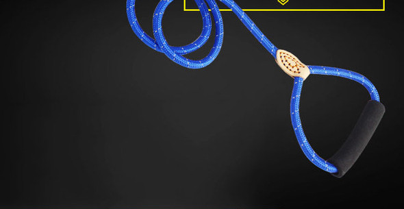 Каишка за куче - три модела