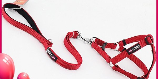 Set lesa si ham pentru caini cu emblema