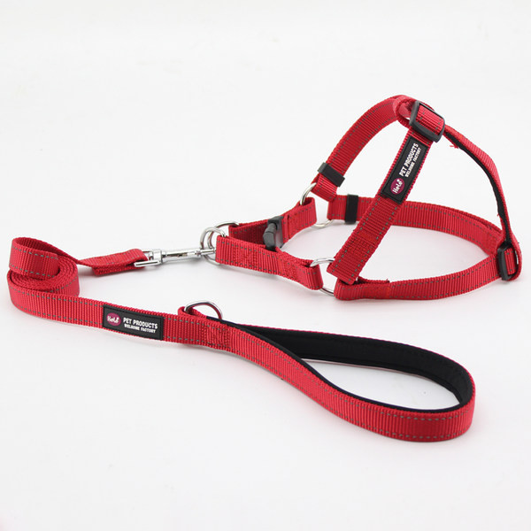 Set lesa si ham pentru caini cu emblema