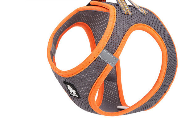 Set câine de bavetă textilă și lesă