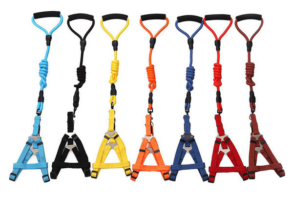 Ocazie zgarda si ham pentru caini mai multe culori