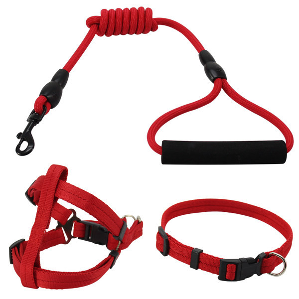 Ocazie zgarda si ham pentru caini mai multe culori