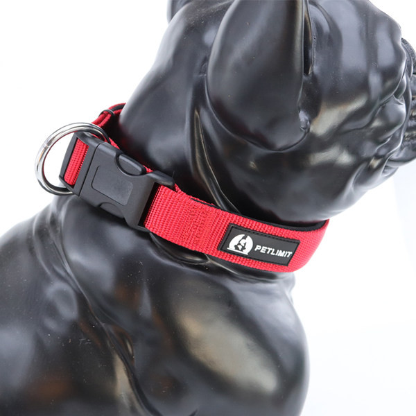 Guler pentru câini cu clemă de plastic