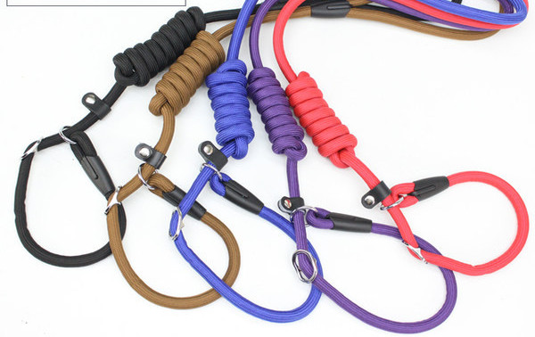 Guler pentru animale de companie