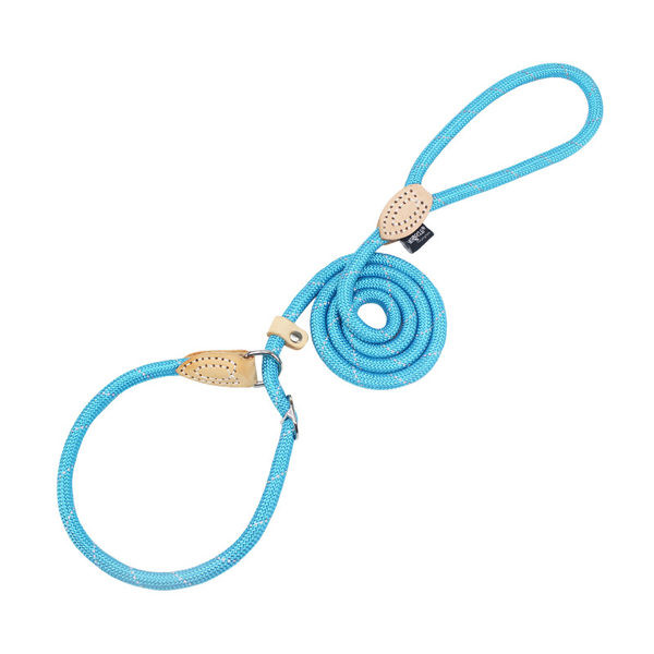 Guler de caine cu lesa si inchizator metalic