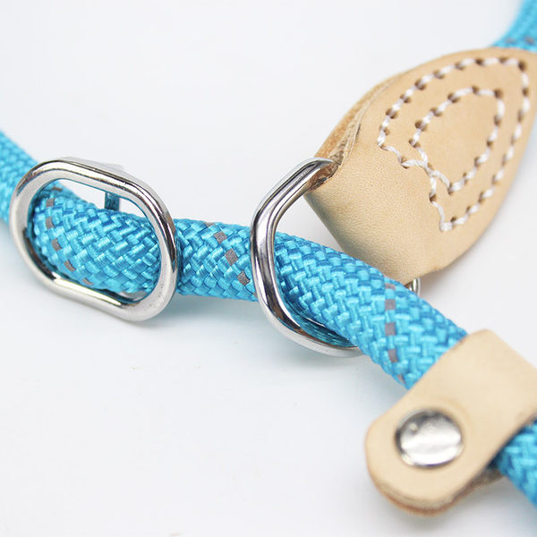 Guler de caine cu lesa si inchizator metalic