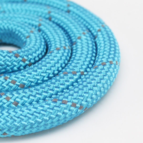 Guler de caine cu lesa si inchizator metalic