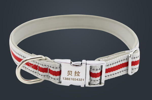 Guler cu lesă sau guler pentru animale de companie - mai multe culori