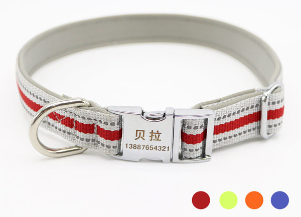 Guler cu lesă sau guler pentru animale de companie - mai multe culori